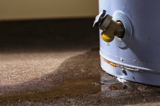Best Fire Damage Restoration  in Salineville, OH