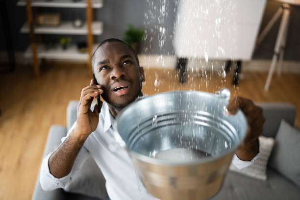 Best Flooded house restoration  in Salineville, OH