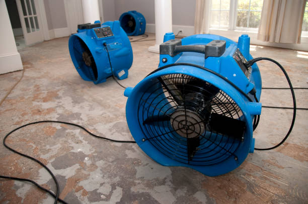 Water damage restoration experts in Salineville, OH