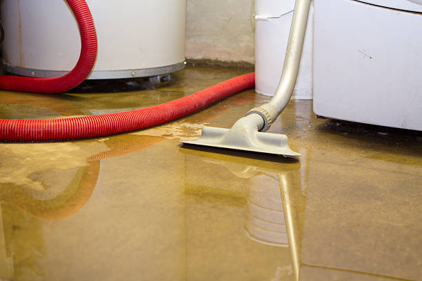 Best Water damage contractors near me  in Salineville, OH